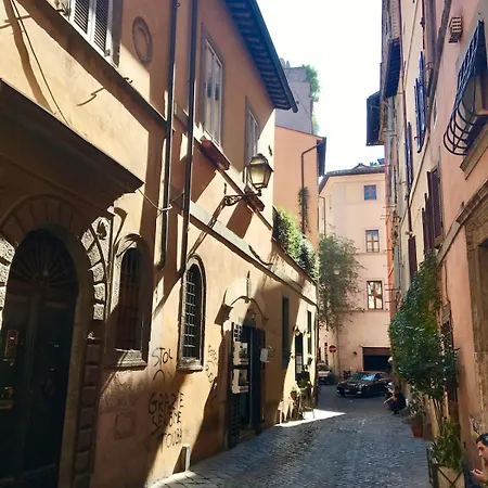 Very Special Place In The Heart Of
